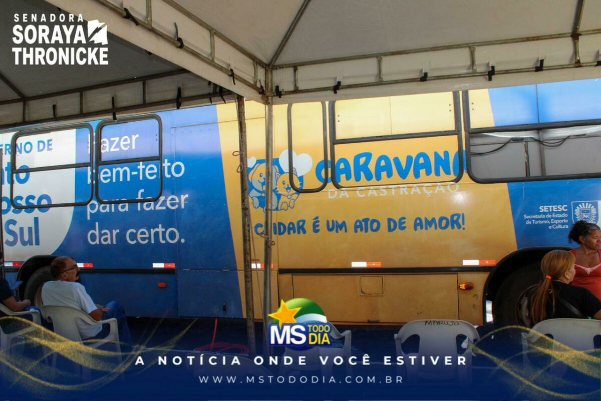Imagem da Galeria
